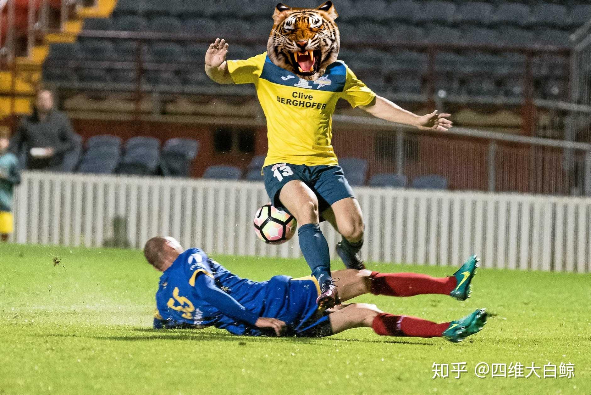 如何评价滑铲杀虎? - 知乎