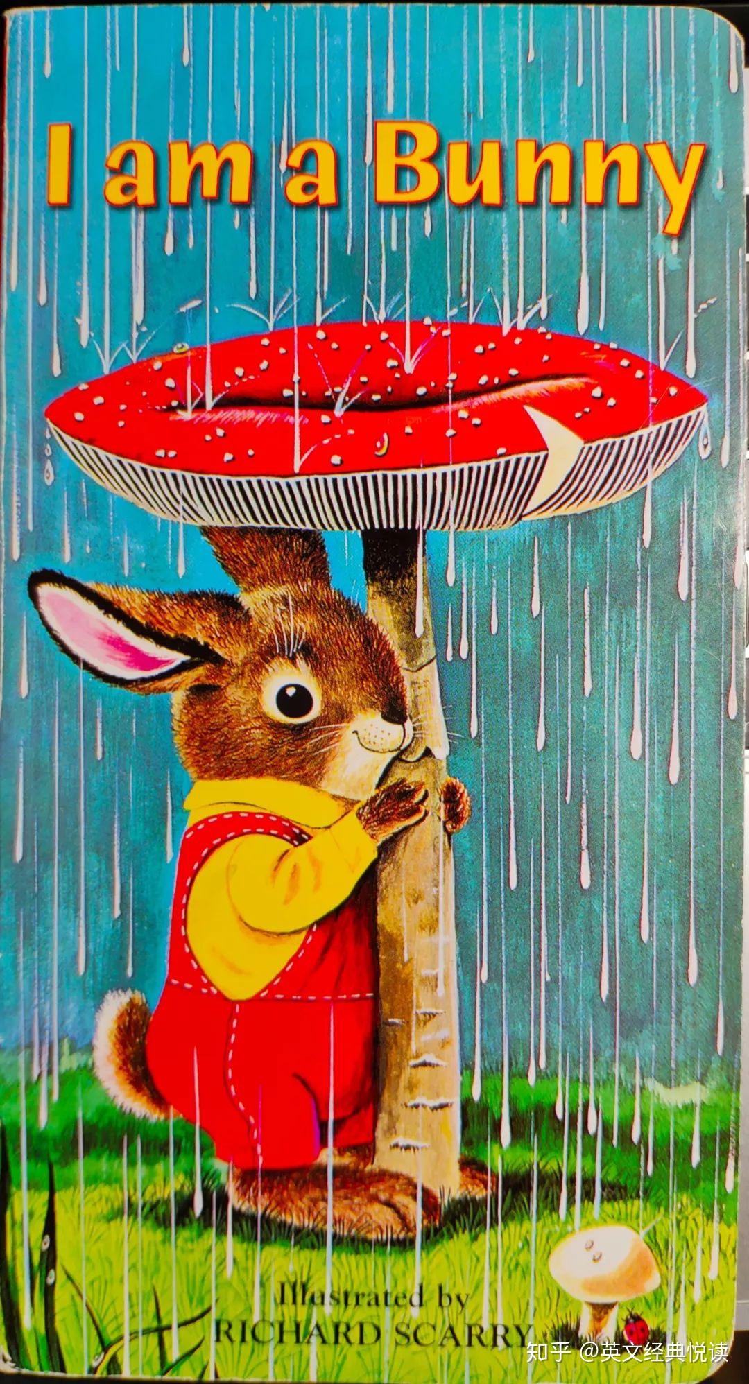 经典英文绘本I am a Bunny - 知乎