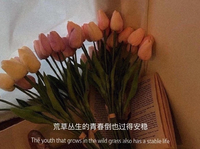 在明白什么道理后，你不再焦虑了？