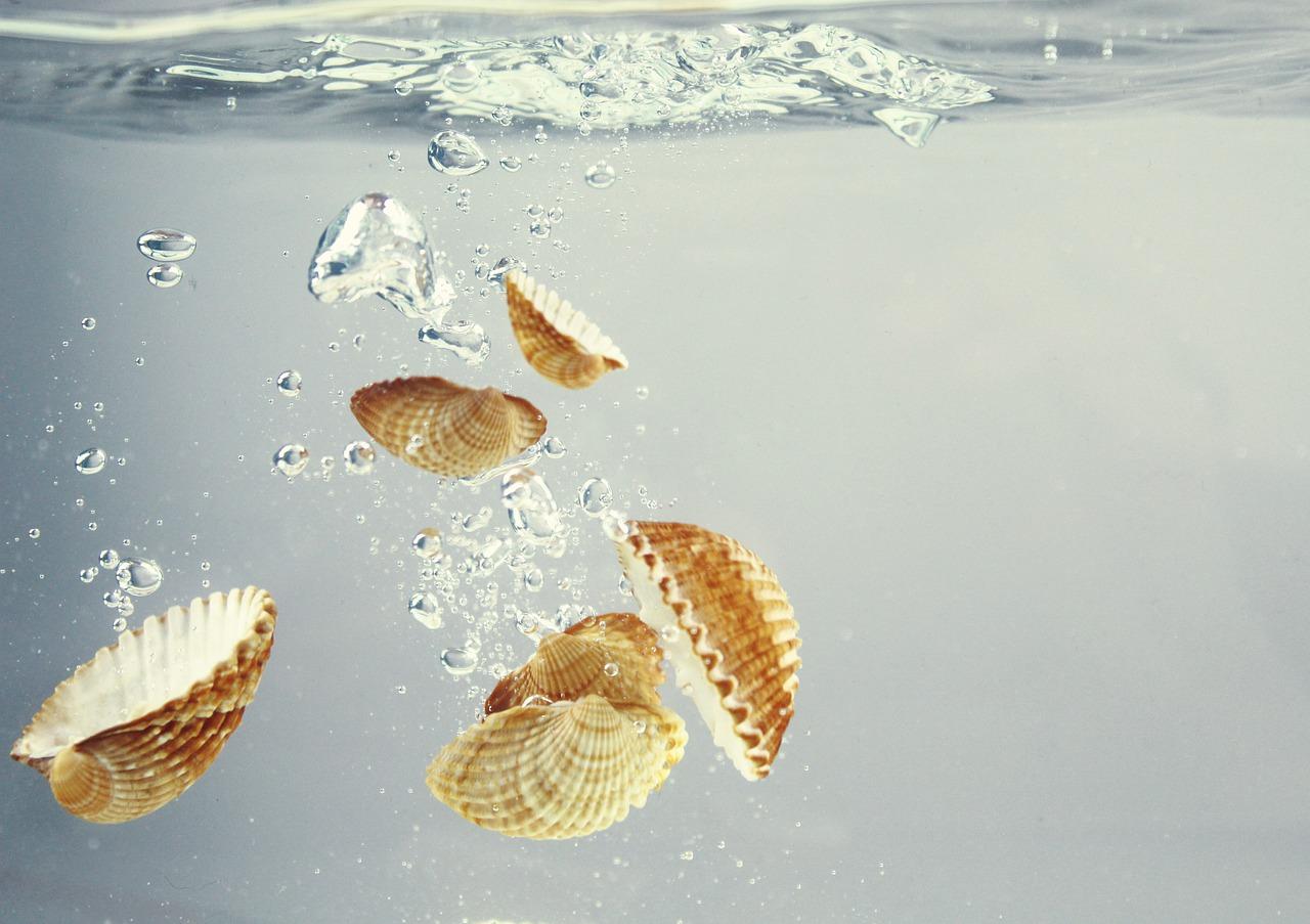 4. 玻璃更换周期