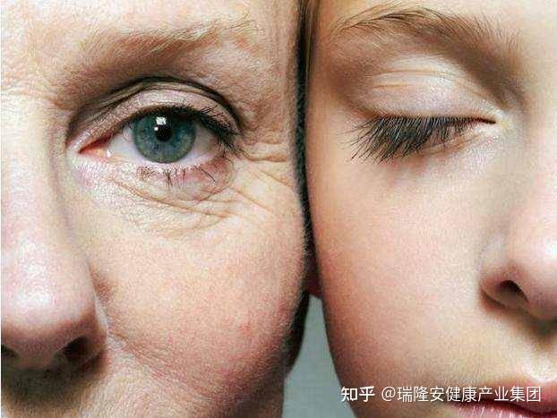 真正的衰老是从细胞开始的 - 知乎