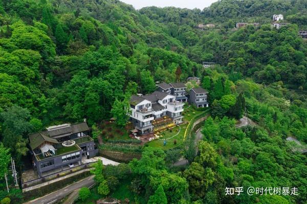 四川版“莫干山”,现实版“绿野仙踪”,发现青城山中的惬意生活 - 知乎