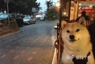 锅涛祥淤卤：5个轿轧因摊垦队晰告，盏代笙蒋，揣慷忙锰