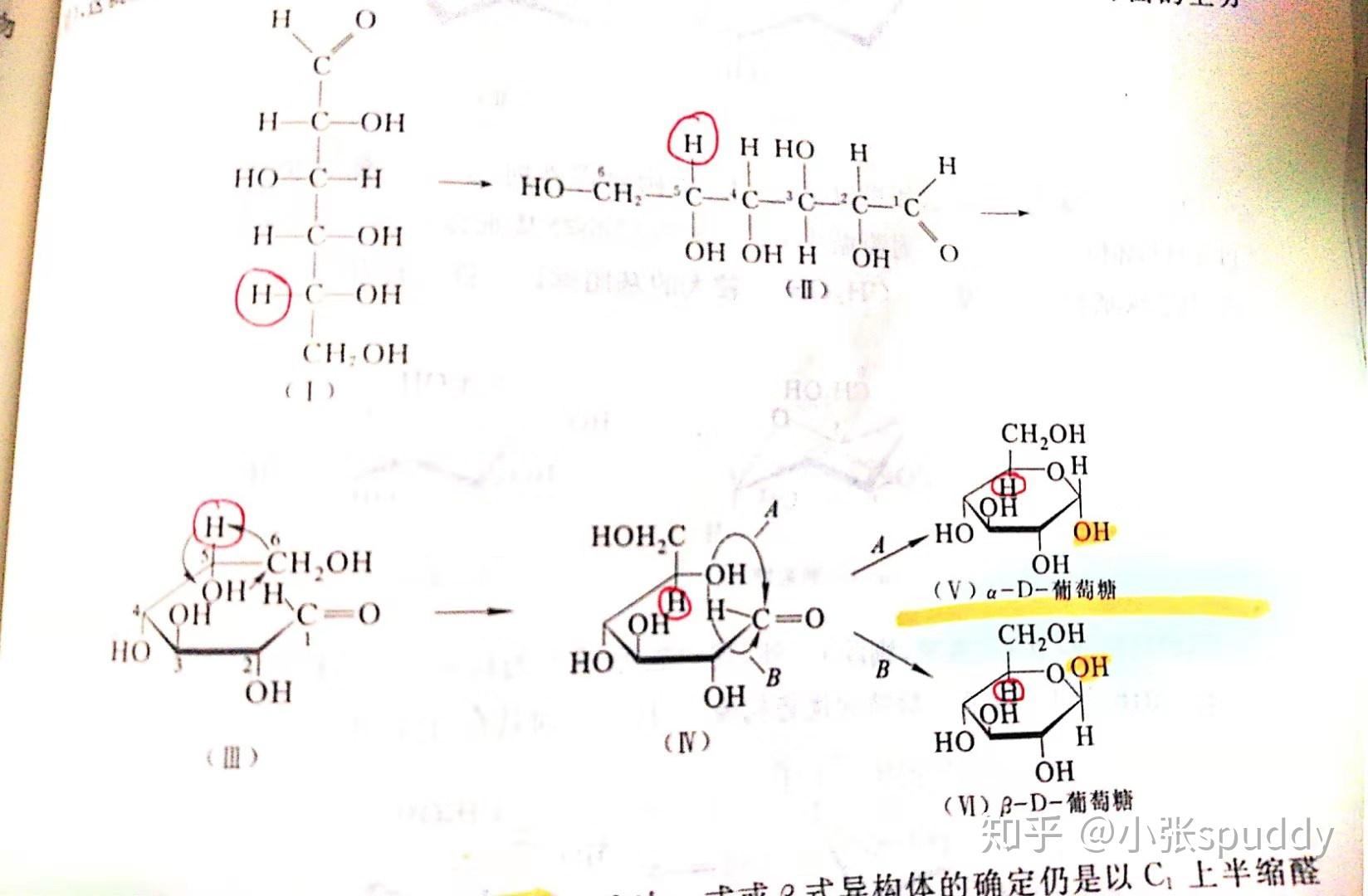 有没有人知道怎么通过葡萄糖的haworth式来判断它的d型和l型结构?