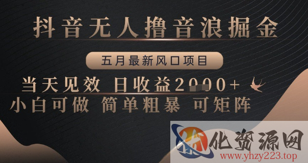 抖音无人撸音浪掘金，五月最新风口项目，当天见效，日收益多张，小白可做简单粗暴可矩阵【揭秘】