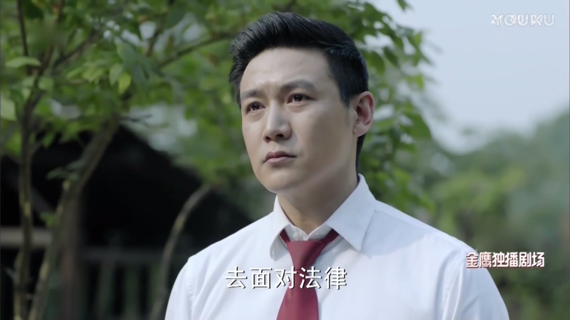 如何评价许亚军在《人民的名义》中扮演祁同伟的演技?