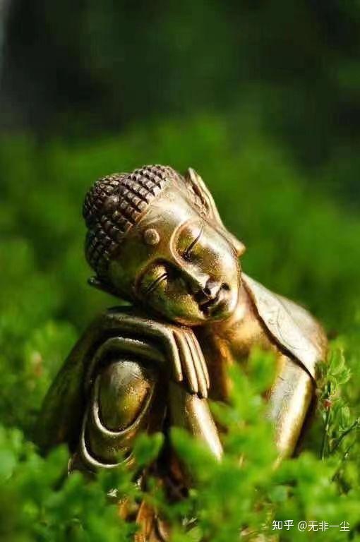行者的禅院 - 知乎