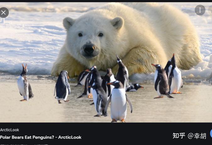 北极熊如果和企鹅在一起会怎样?