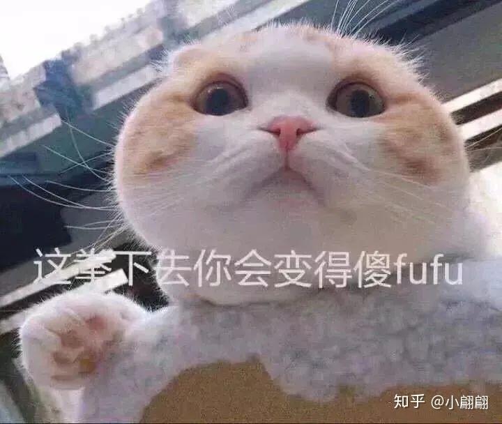 有没有撩男朋友的小表情包鸭