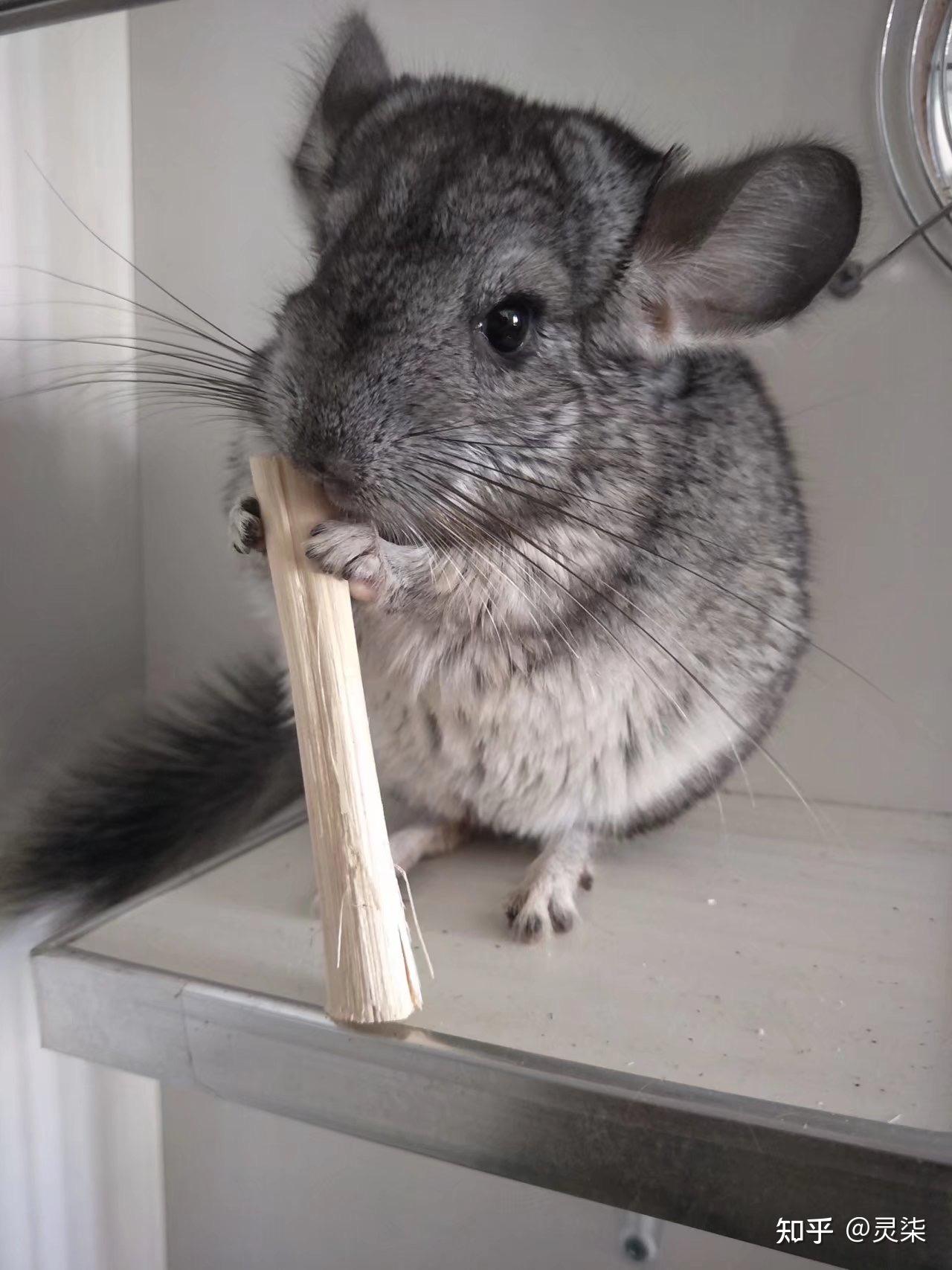 我先讲讲我的…我叫沈泰昌…沈是姓,泰是泰山的泰!昌是昌盛的昌!