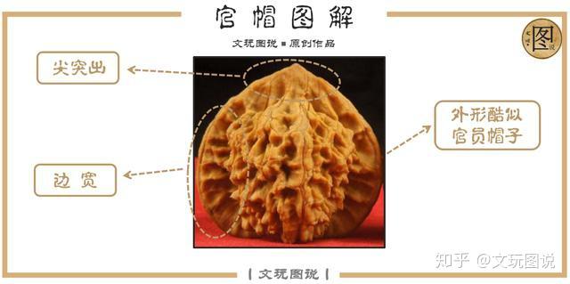 45原桩大粗筋核桃 文玩 文玩核桃夹板与原桩核桃哪个好
