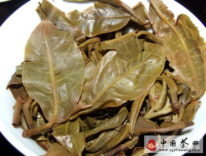 普洱茶葉子大小是評判茶葉品質的標準嗎? - 知乎