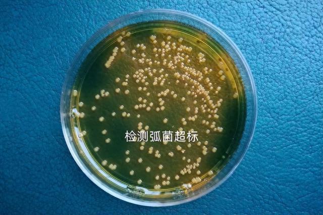 弧菌来袭，虾病频发！云牧通“猎弧”新方案，让弧菌处理更轻松 - 知乎