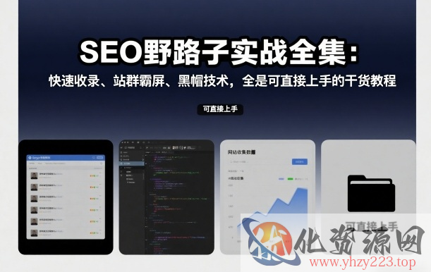 SEO野路子实战全集：快速收录、站群霸屏、黑帽技术，全是可直接上手的干货教程