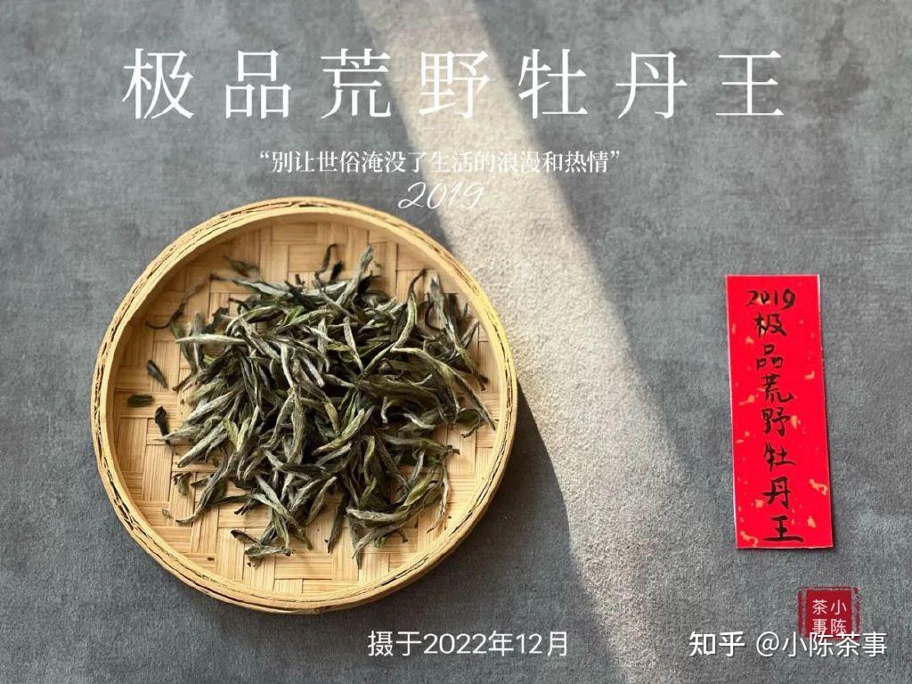  过年送茶礼有讲究，长辈、朋友、老茶客，教你送哪些白茶比较好 - 知乎 