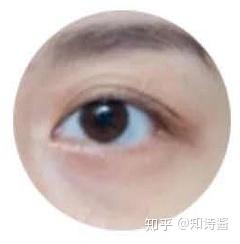 v2-47bcd71f335ea22a1c46ce52e3428492_b.jpg