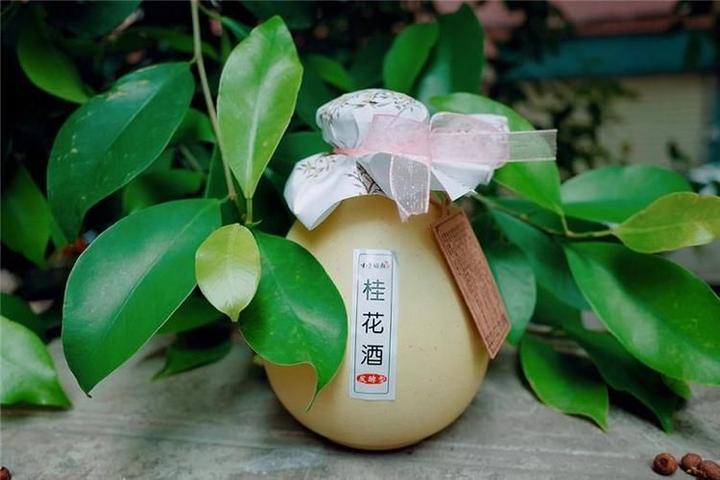 醉美浪漫,赏花品酒:花酒的独特魅力 - 知乎