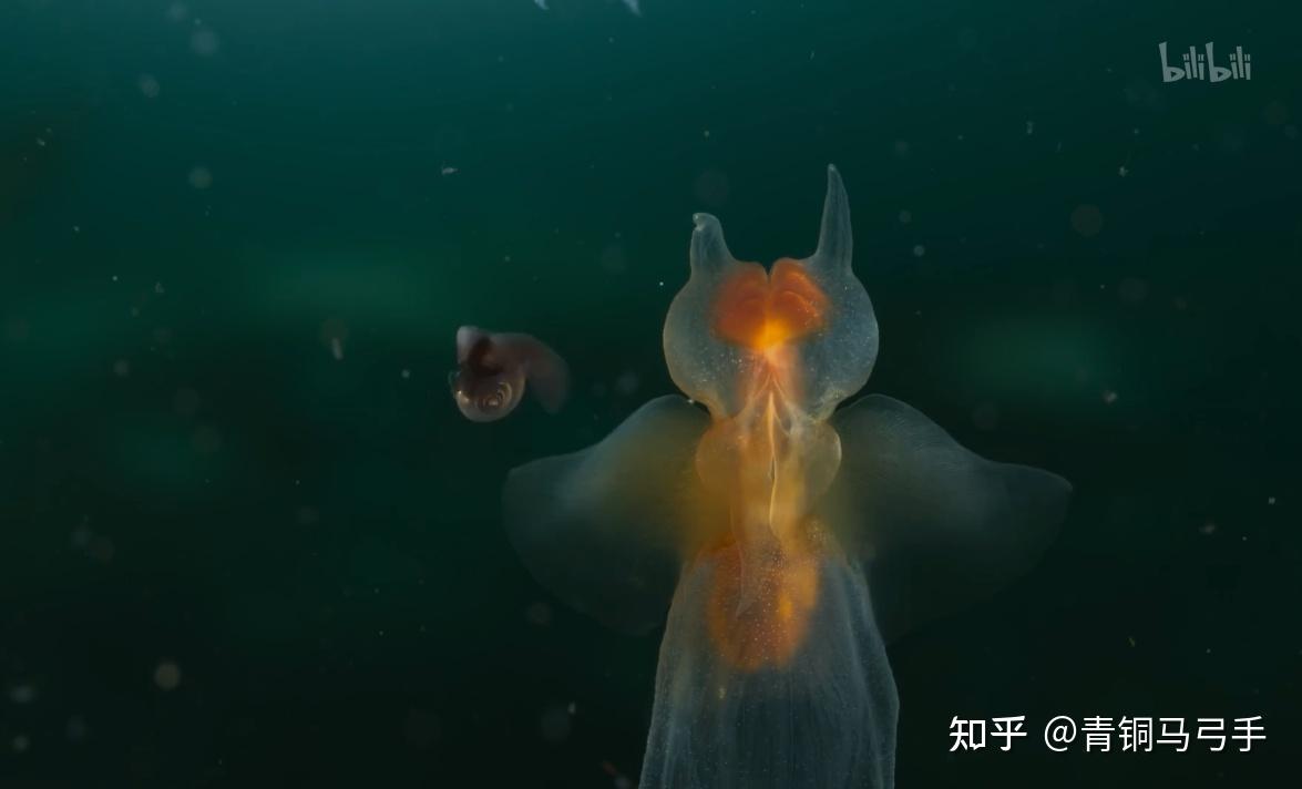 2023BBC地球脉动(S3E1)笔记：海陆之间 - 知乎