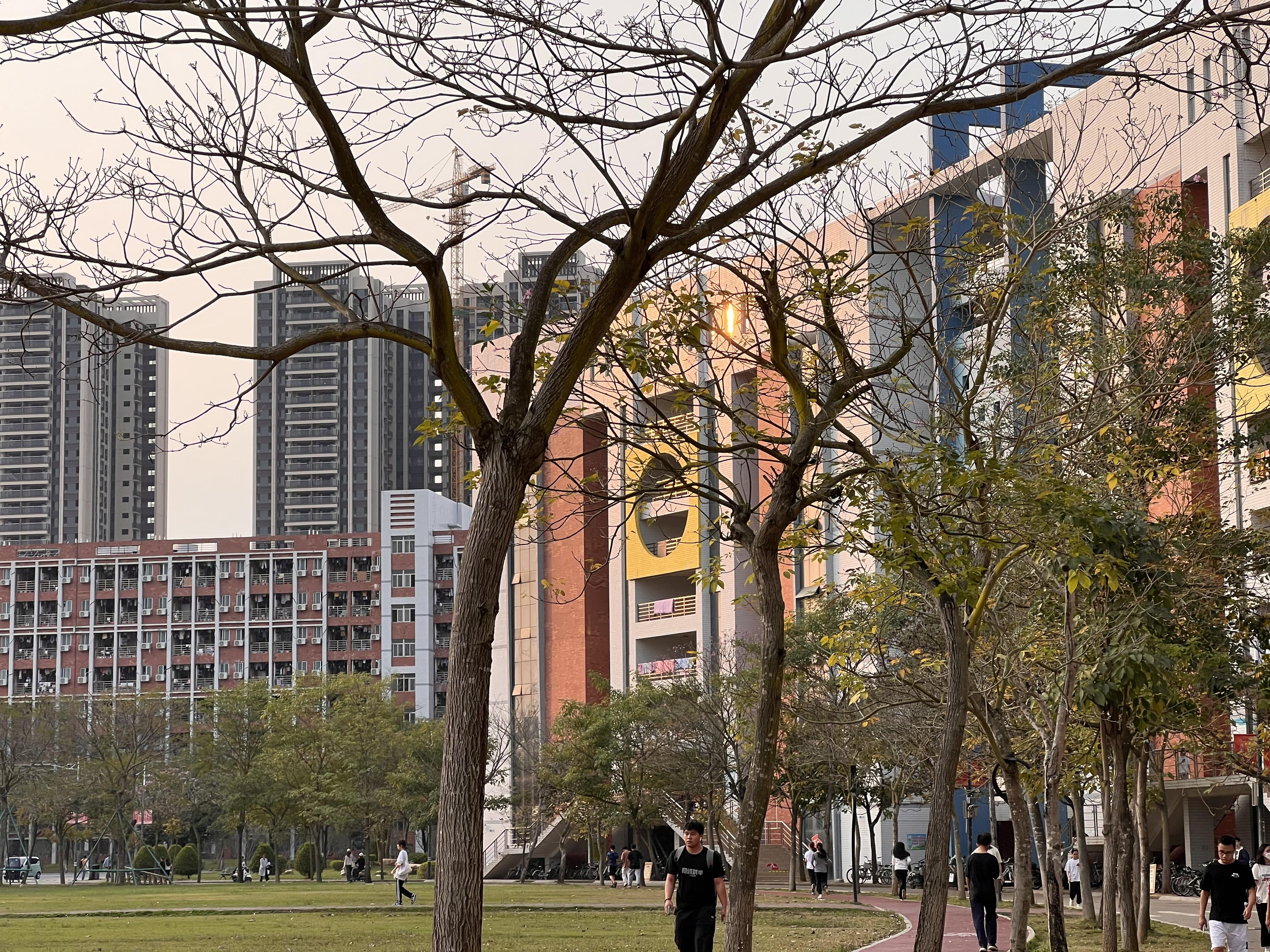 岭南师范学院怎么样?(岭南师范学院可以读研究生吗)