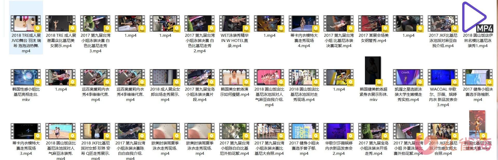 精选模特 明星（韩国女团/韩国车展车模/JKF比基尼派/钢管秀/成人展/内衣秀/时装秀/街拍视频）高清视频合集 共117套写真写真视频[33.60G]-佳人吧