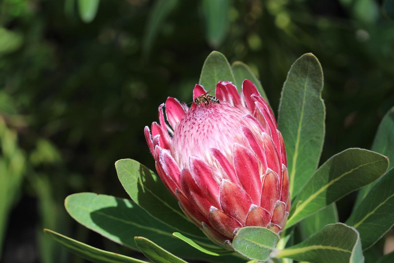 3. 手刺粘贴技巧