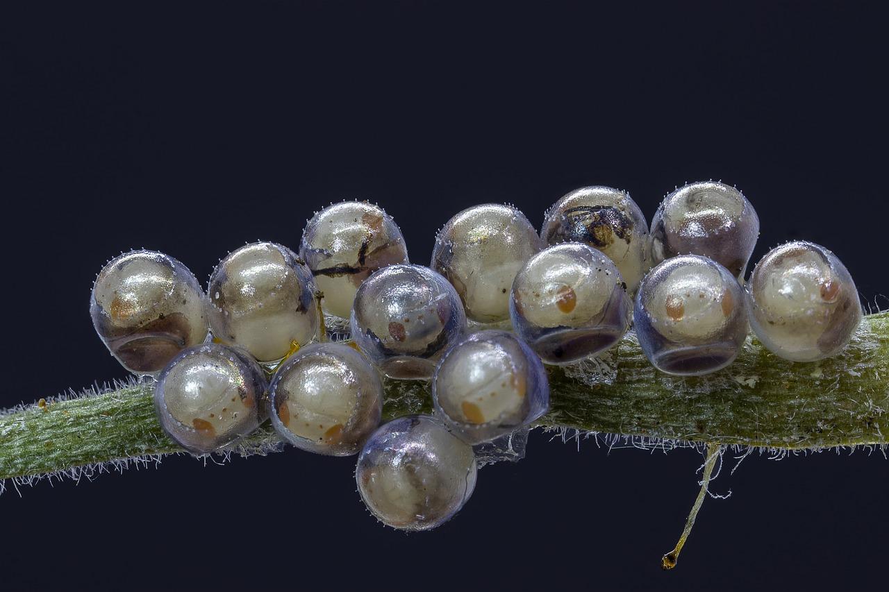 2. 美观搭配技巧