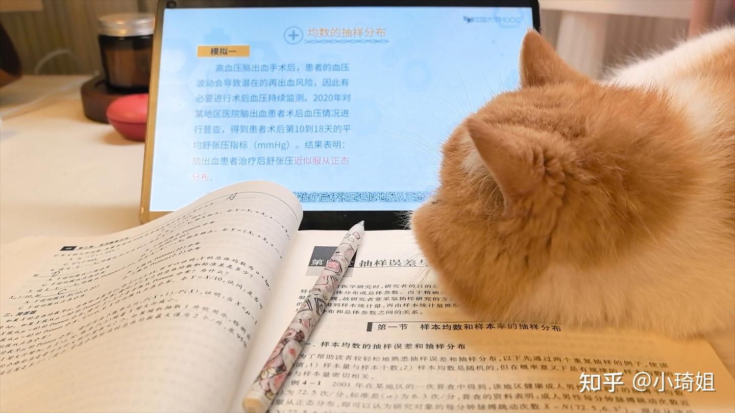 铲屎官清洁大作战:2026家用吸尘器哪种最好?3款热门机型测评推荐