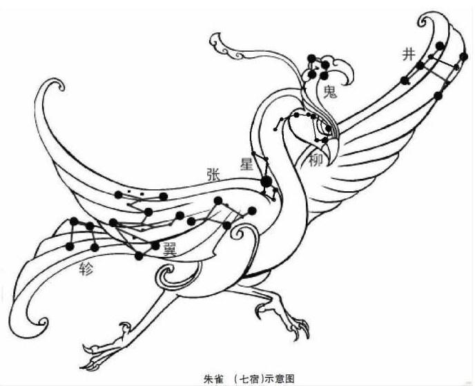 凤凰朱雀火鸟金翅大鹏迦楼罗到底是不是一种神兽