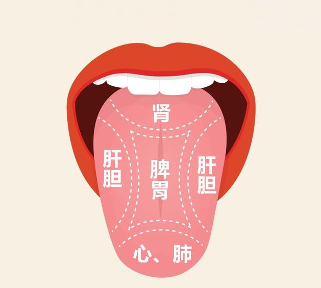 用舌象辨脾胃病变,到底有没有依据?这几点来告诉你答案! - 知乎