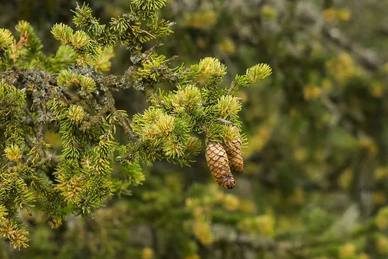 4. 石墨耐温解析