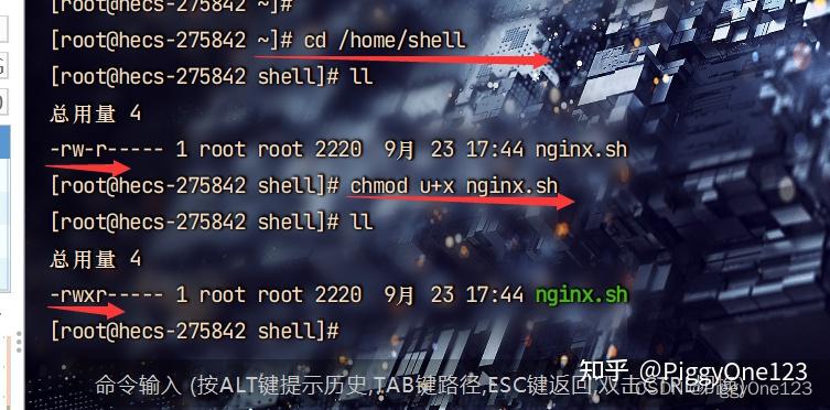 如何在linux系统中运行.sh文件(shell脚本),以一键部署nginx为例子 - 知乎