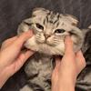 青玉案丶