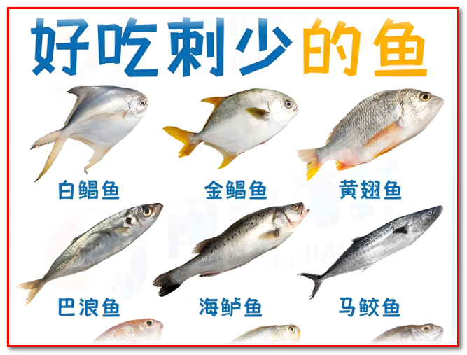 刺少的鱼有哪些? 烹饪新手必备,哪些鱼刺少又美味? 想知道哪些鱼类刺少肉多,适合全家享用吗?你准备好了吗? - 知乎