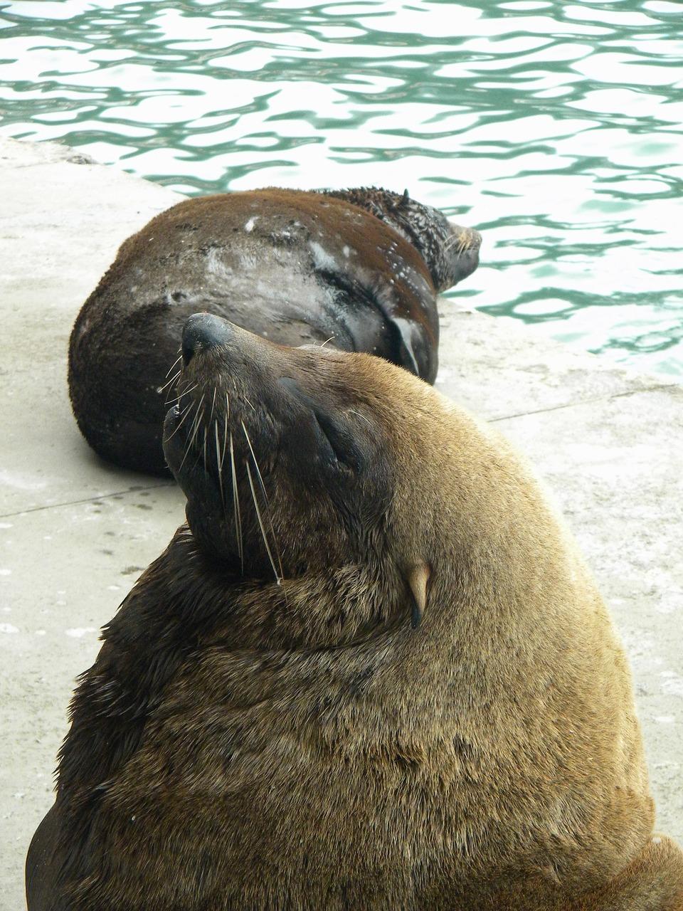 5. 防寒胶去渍妙招