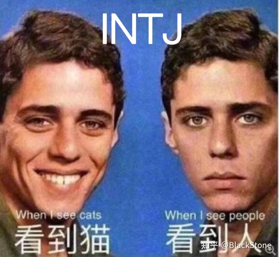 INTJ梗图(无水印) - 知乎