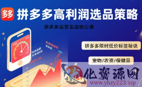 拼多多选品暴利技术实战课，拼多多高利润选品策略，拼多多限时低价标签秘诀