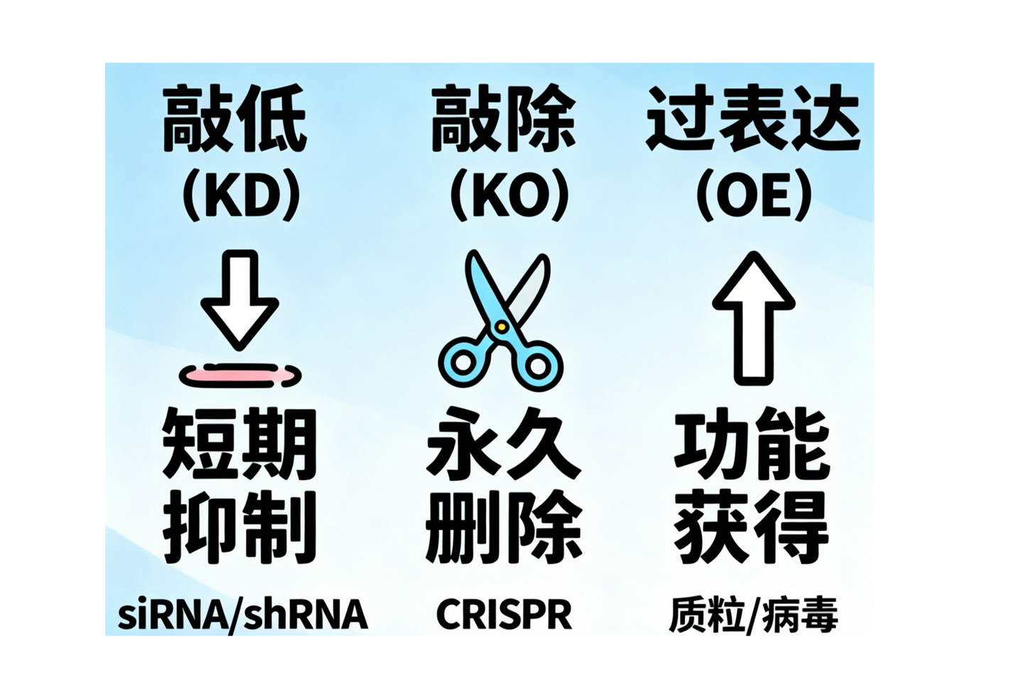 一文分清!过表达、敲除、敲低,基因功能研究的“三大核心工具” - 知乎