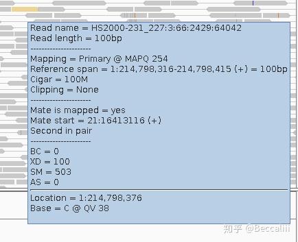 服务器安装IGV并在本地电脑使用 - 知乎