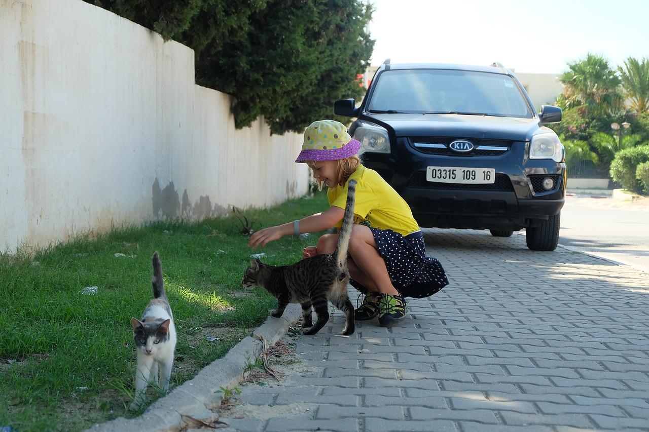 鹿王豪宅投资值