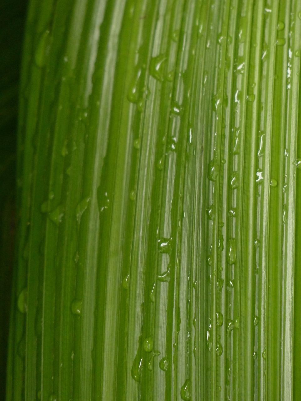 3. 吊筋结构特点