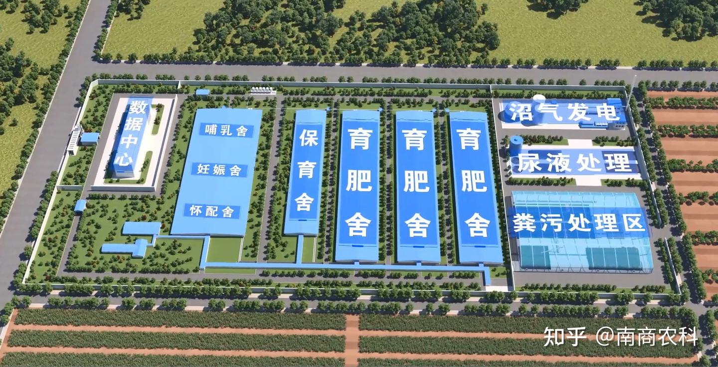 猪场建设必须要注意的事项有哪些? - 知乎