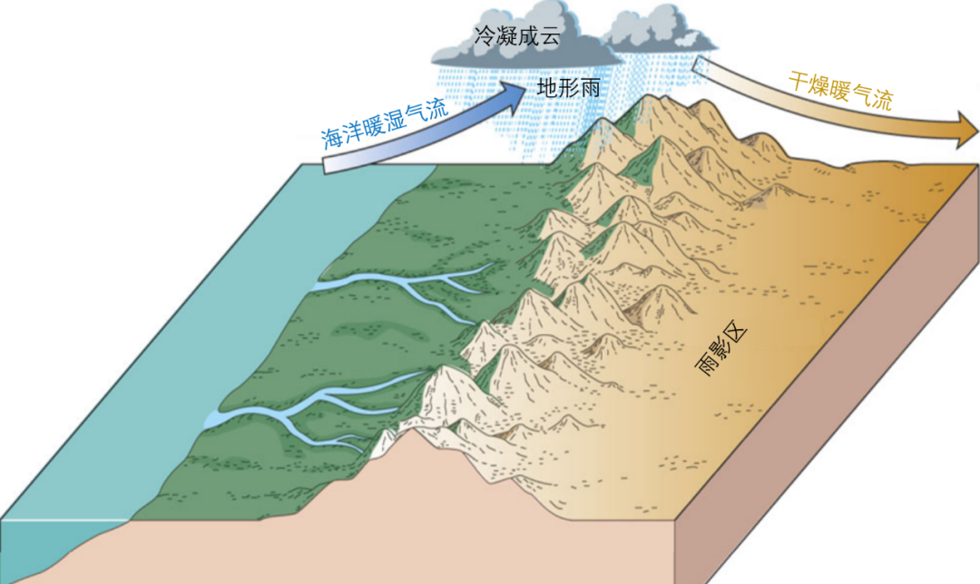 中国西北地区荒漠化的原因是什么