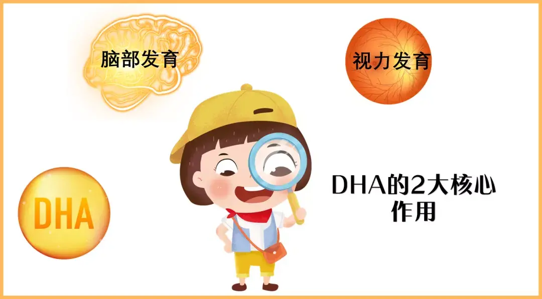 看了好多品牌,不知道什么牌子的dha比较好,求推荐?