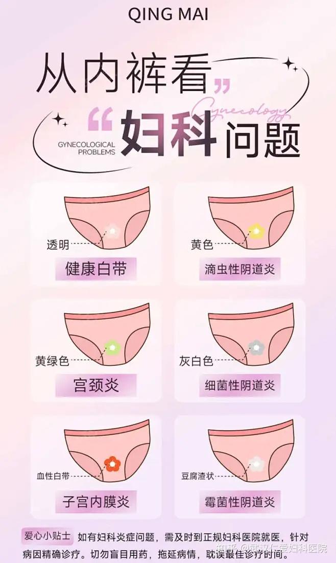 吃白带 知乎图片