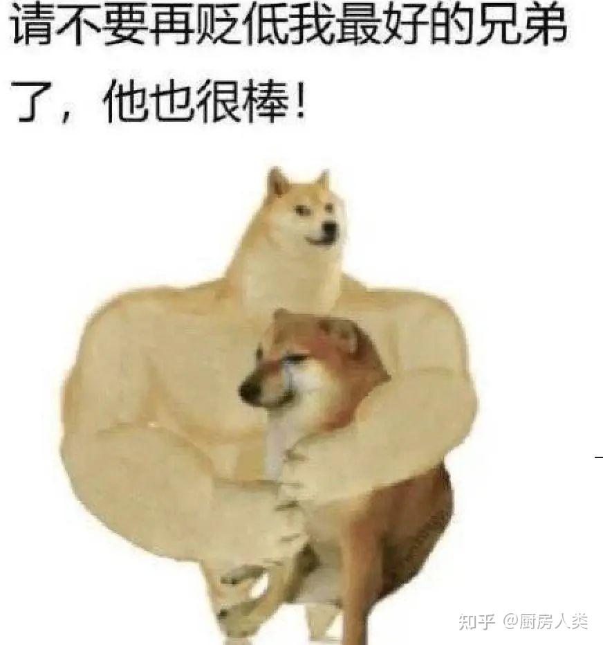 刷屏几亿人表情包的柴犬Cheems,正成为下一个Doge - 知乎