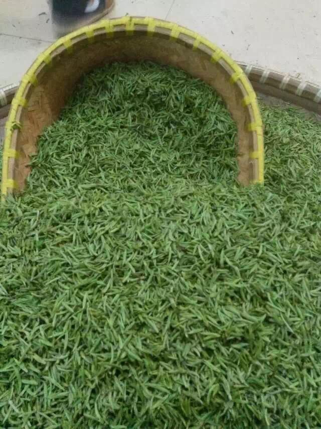 顾渚紫笋具体产量有多少滋味属哪种类型有何渠道能取得原产地正山茶