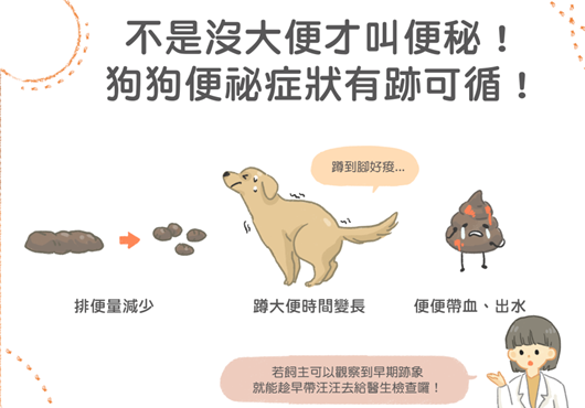 不是没大便才叫便秘 狗狗便秘症状有迹可循 3招教会你 知乎
