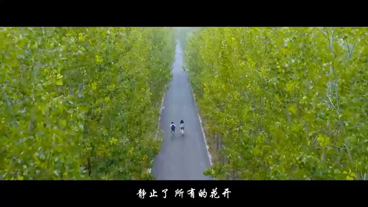 《花海》周杰伦mp3歌曲歌词下载 - 知乎