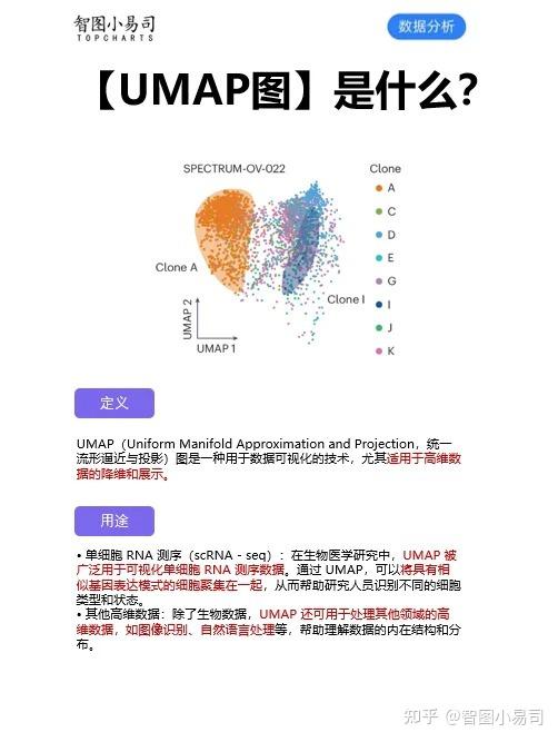 别再懵圈!一文30秒搞懂 UMAP 图,快看📈 - 知乎