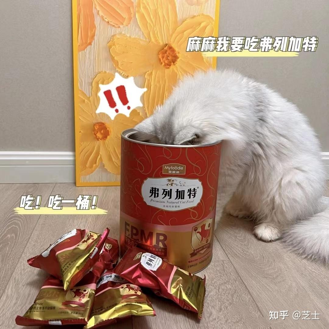 幼猫的饮食习惯与成年猫有何区别? - 知乎